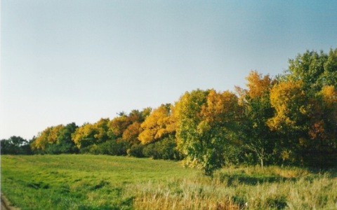 AUTUMN BEAUTY