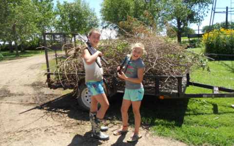 Clearing brush 